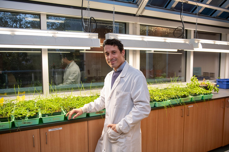 UFV biochemist Harley Gordon helps uncover major discovery about salicylic acid