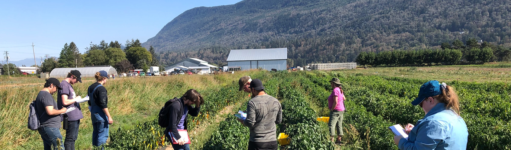 Advance your career in agribusiness leadership