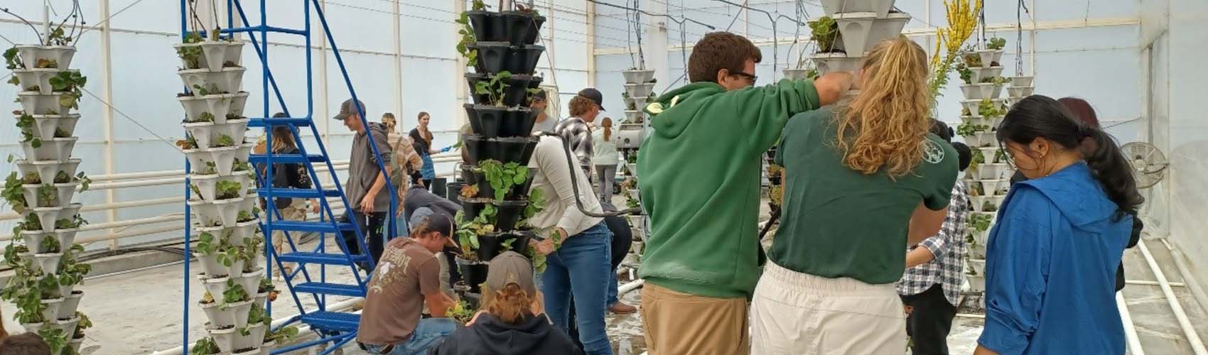 Kickstart your career in agriculture