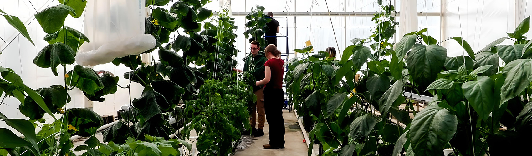 Discover your future in agriculture