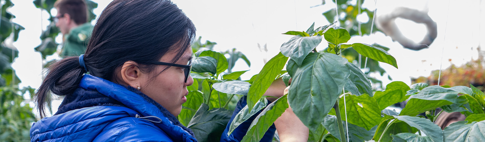 Cultivate your passion