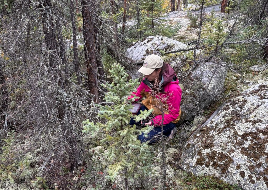 UFV researchers help lay the foundation for food security in Canada’s North 